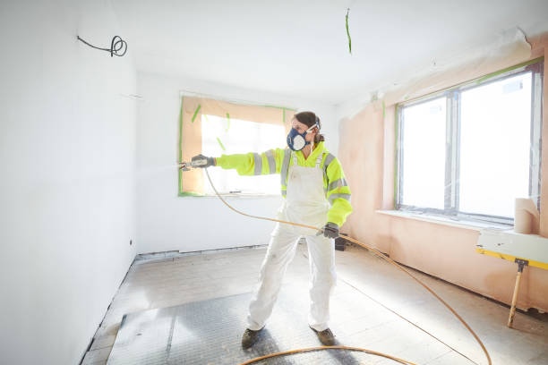 Best Mold Prevention Services  in South Fulton, TN