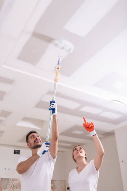 Best Black Mold Removal  in South Fulton, TN
