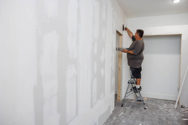Reliable South Fulton, TN Mold Removal Solutions
