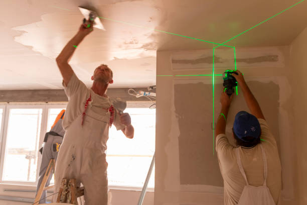Best Mold Remediation for Healthcare Facilities  in South Fulton, TN