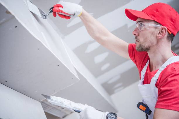 Best Forensic Mold Investigation  in South Fulton, TN